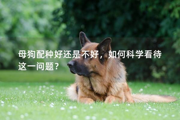 母狗配种好还是不好，如何科学看待这一问题？