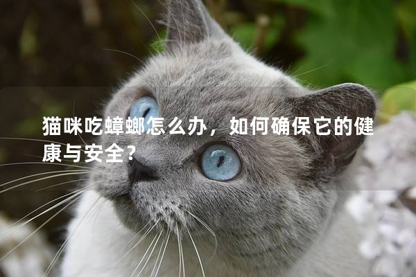 猫咪吃蟑螂怎么办，如何确保它的健康与安全？