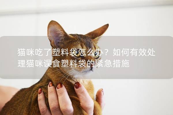 猫咪吃了塑料袋怎么办？如何有效处理猫咪误食塑料袋的紧急措施