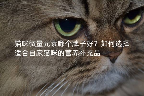 猫咪微量元素哪个牌子好？如何选择适合自家猫咪的营养补充品