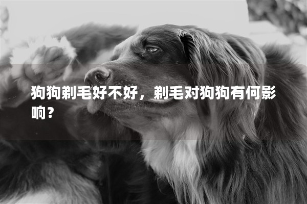 狗狗剃毛好不好，剃毛对狗狗有何影响？