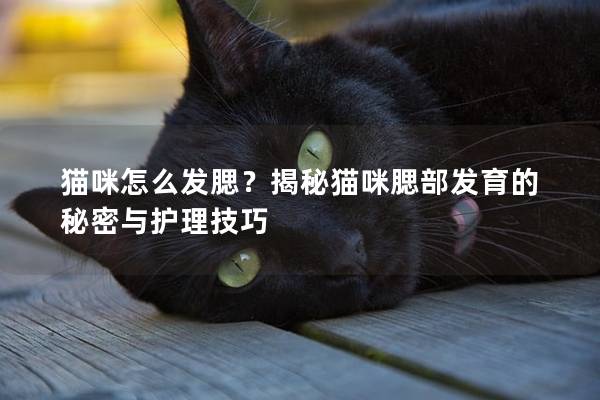 猫咪怎么发腮？揭秘猫咪腮部发育的秘密与护理技巧