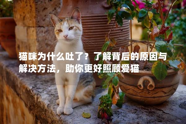 猫咪为什么吐了？了解背后的原因与解决方法，助你更好照顾爱猫