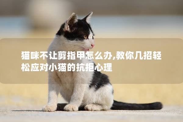 猫咪不让剪指甲怎么办,教你几招轻松应对小猫的抗拒心理