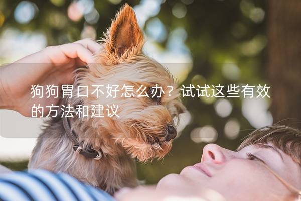 狗狗胃口不好怎么办？试试这些有效的方法和建议