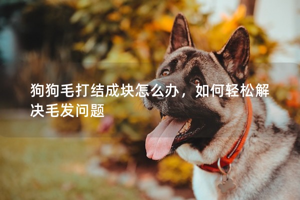 狗狗毛打结成块怎么办，如何轻松解决毛发问题