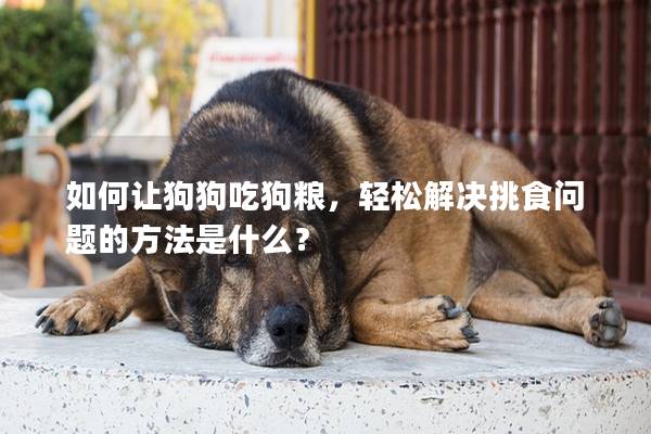 如何让狗狗吃狗粮，轻松解决挑食问题的方法是什么？