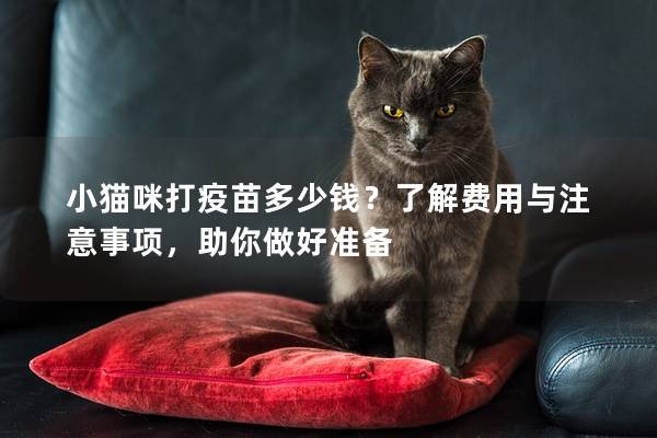 小猫咪打疫苗多少钱？了解费用与注意事项，助你做好准备