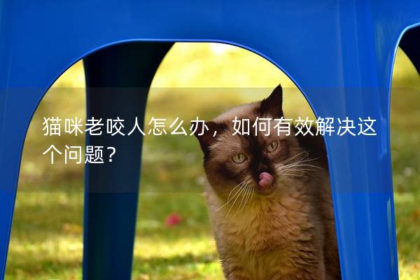 猫咪老咬人怎么办，如何有效解决这个问题？