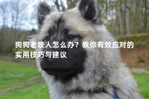 狗狗老咬人怎么办？教你有效应对的实用技巧与建议