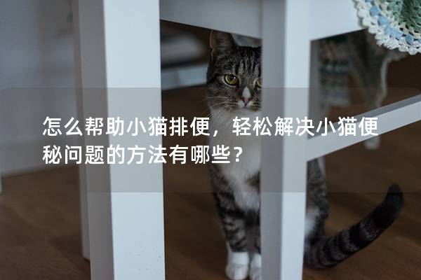 怎么帮助小猫排便，轻松解决小猫便秘问题的方法有哪些？