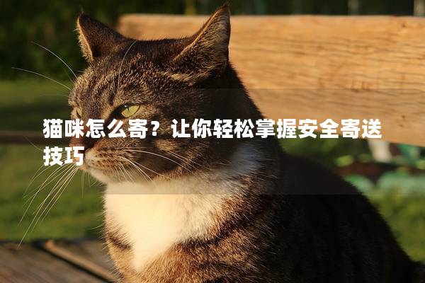 猫咪怎么寄？让你轻松掌握安全寄送技巧