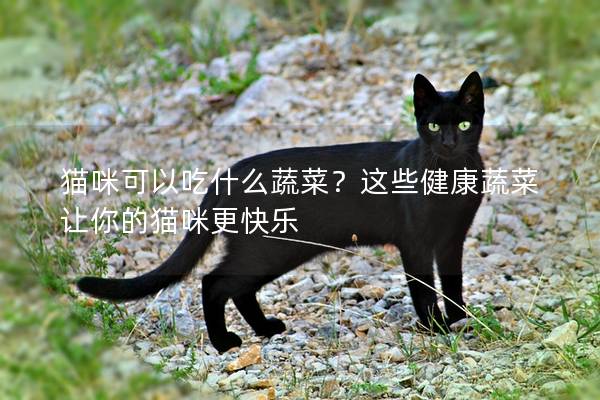 猫咪可以吃什么蔬菜？这些健康蔬菜让你的猫咪更快乐