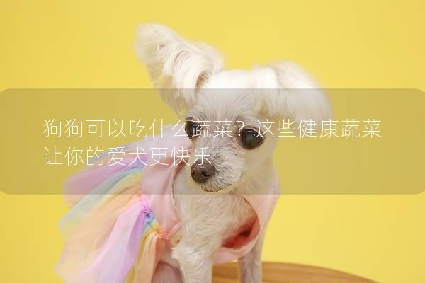 狗狗可以吃什么蔬菜？这些健康蔬菜让你的爱犬更快乐