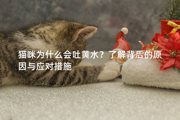 猫咪为什么会吐黄水？了解背后的原因与应对措施