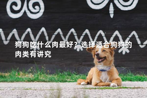 狗狗吃什么肉最好？选择适合狗狗的肉类有讲究