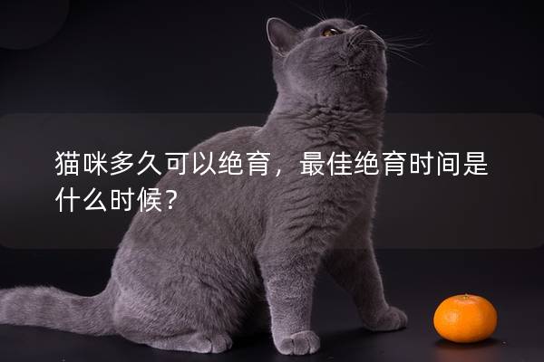 猫咪多久可以绝育，最佳绝育时间是什么时候？