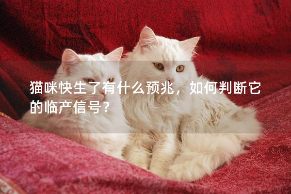 猫咪快生了有什么预兆，如何判断它的临产信号？