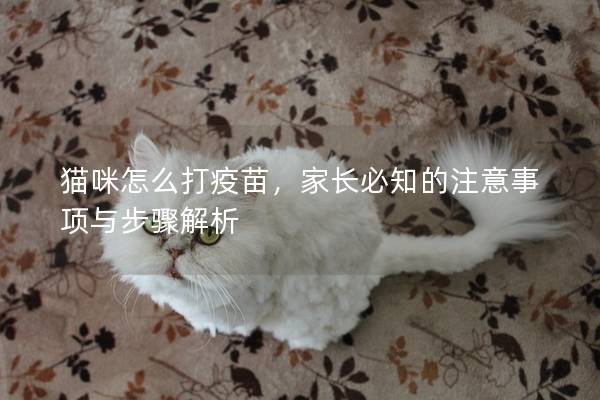 猫咪怎么打疫苗，家长必知的注意事项与步骤解析