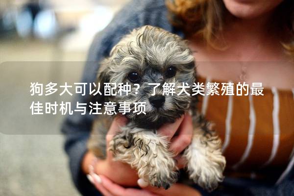 狗多大可以配种？了解犬类繁殖的最佳时机与注意事项