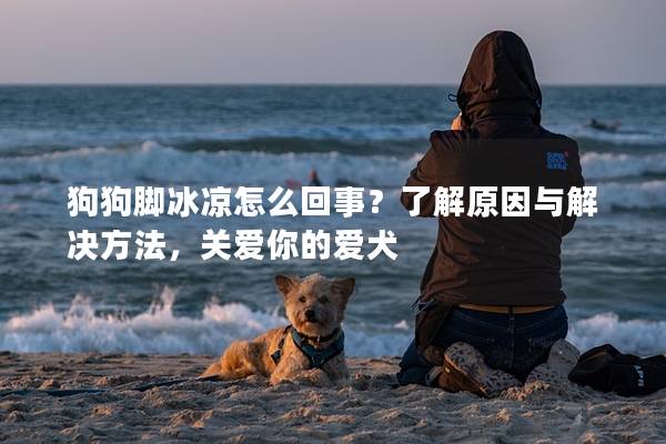 狗狗脚冰凉怎么回事？了解原因与解决方法，关爱你的爱犬