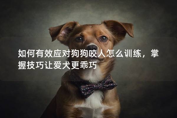 如何有效应对狗狗咬人怎么训练，掌握技巧让爱犬更乖巧