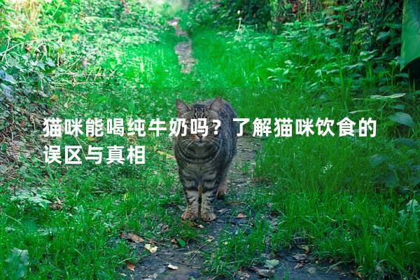 猫咪能喝纯牛奶吗？了解猫咪饮食的误区与真相