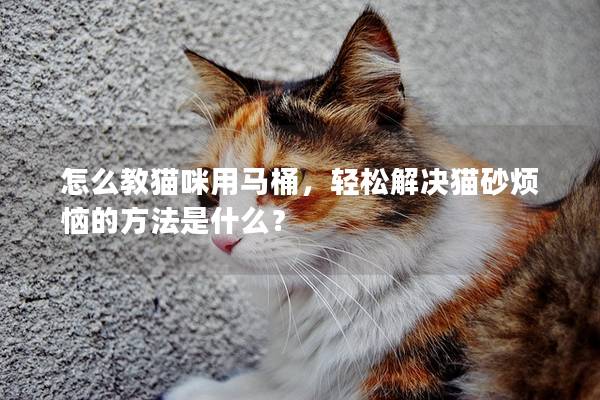 怎么教猫咪用马桶，轻松解决猫砂烦恼的方法是什么？