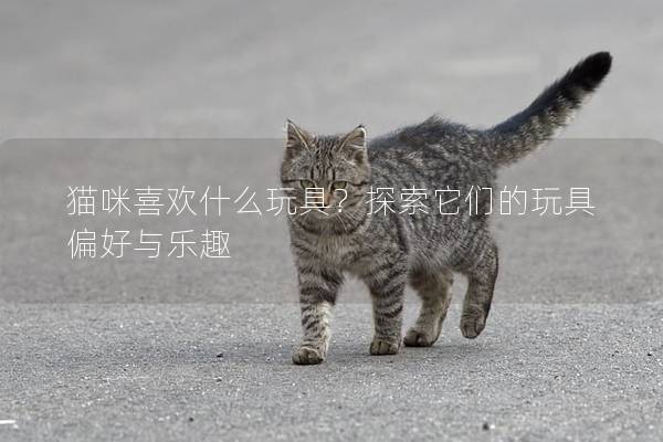 猫咪喜欢什么玩具？探索它们的玩具偏好与乐趣