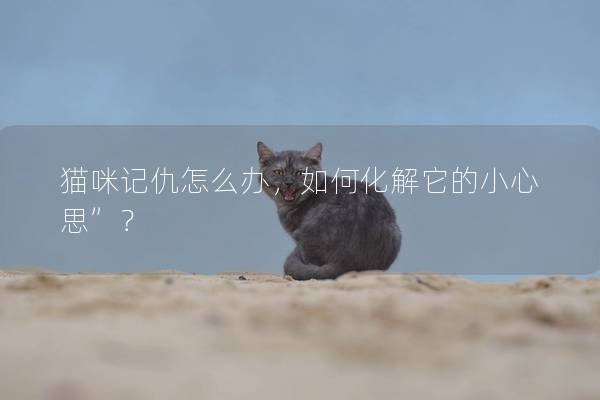 猫咪记仇怎么办，如何化解它的小心思”？