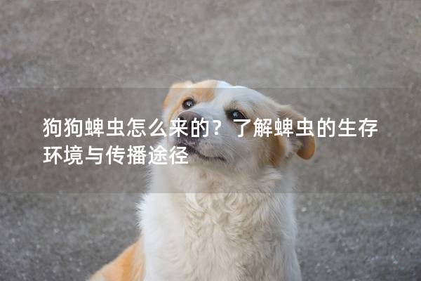 狗狗蜱虫怎么来的？了解蜱虫的生存环境与传播途径