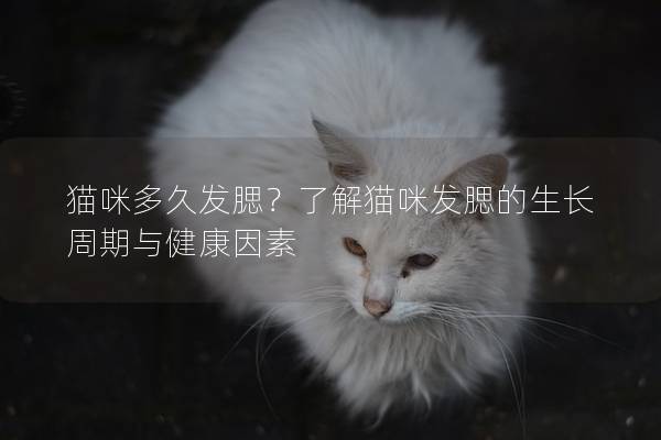 猫咪多久发腮？了解猫咪发腮的生长周期与健康因素