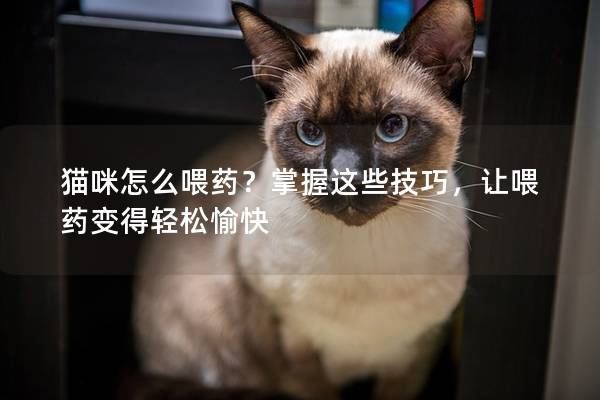 猫咪怎么喂药？掌握这些技巧，让喂药变得轻松愉快