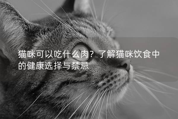 猫咪可以吃什么肉？了解猫咪饮食中的健康选择与禁忌