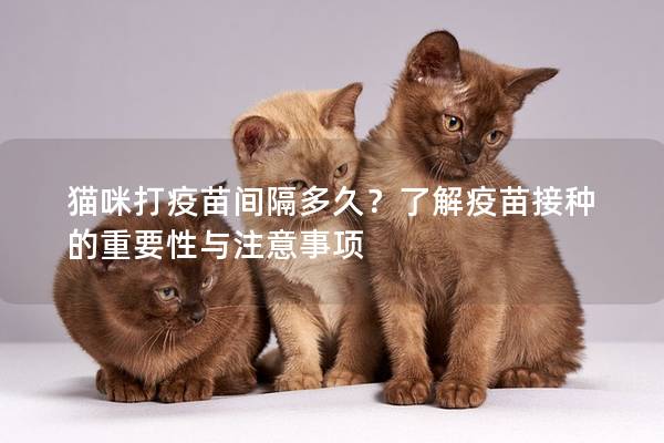 猫咪打疫苗间隔多久？了解疫苗接种的重要性与注意事项