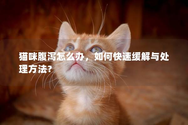 猫咪腹泻怎么办，如何快速缓解与处理方法？