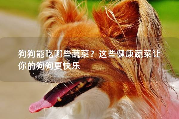 狗狗能吃哪些蔬菜？这些健康蔬菜让你的狗狗更快乐