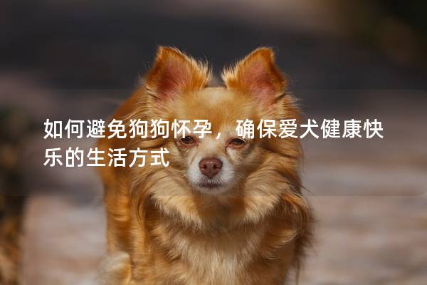 如何避免狗狗怀孕，确保爱犬健康快乐的生活方式