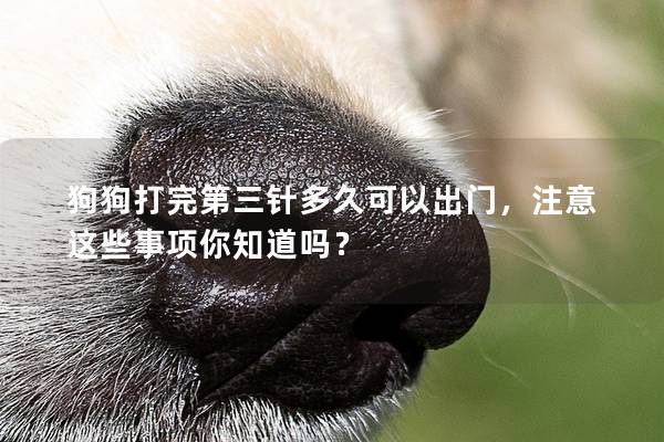 狗狗打完第三针多久可以出门，注意这些事项你知道吗？