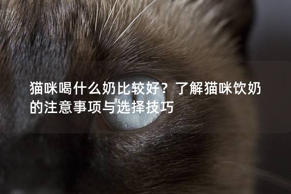 猫咪喝什么奶比较好？了解猫咪饮奶的注意事项与选择技巧