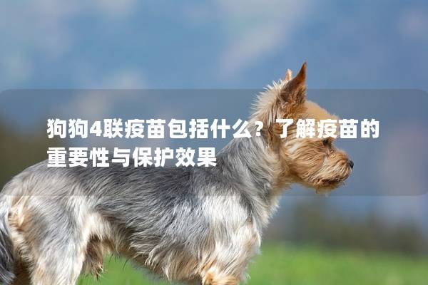 狗狗4联疫苗包括什么？了解疫苗的重要性与保护效果