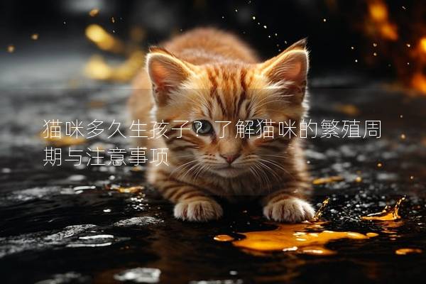 猫咪多久生孩子？了解猫咪的繁殖周期与注意事项