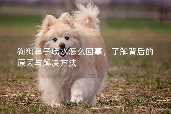 狗狗鼻子喷水怎么回事，了解背后的原因与解决方法