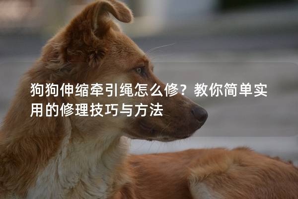 狗狗伸缩牵引绳怎么修？教你简单实用的修理技巧与方法