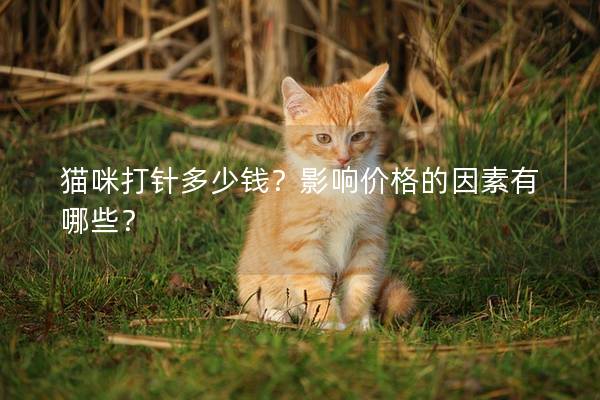 猫咪打针多少钱？影响价格的因素有哪些？