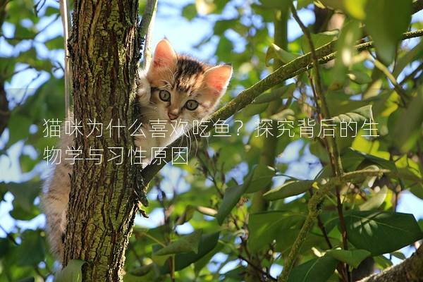 猫咪为什么喜欢吃鱼？探究背后的生物学与习性原因