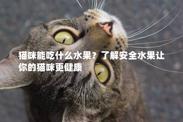 猫咪能吃什么水果？了解安全水果让你的猫咪更健康