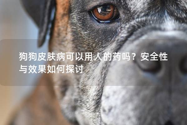 狗狗皮肤病可以用人的药吗？安全性与效果如何探讨