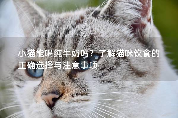 小猫能喝纯牛奶吗？了解猫咪饮食的正确选择与注意事项