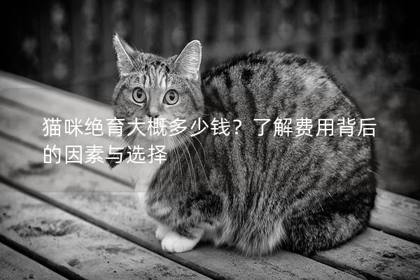 猫咪绝育大概多少钱？了解费用背后的因素与选择